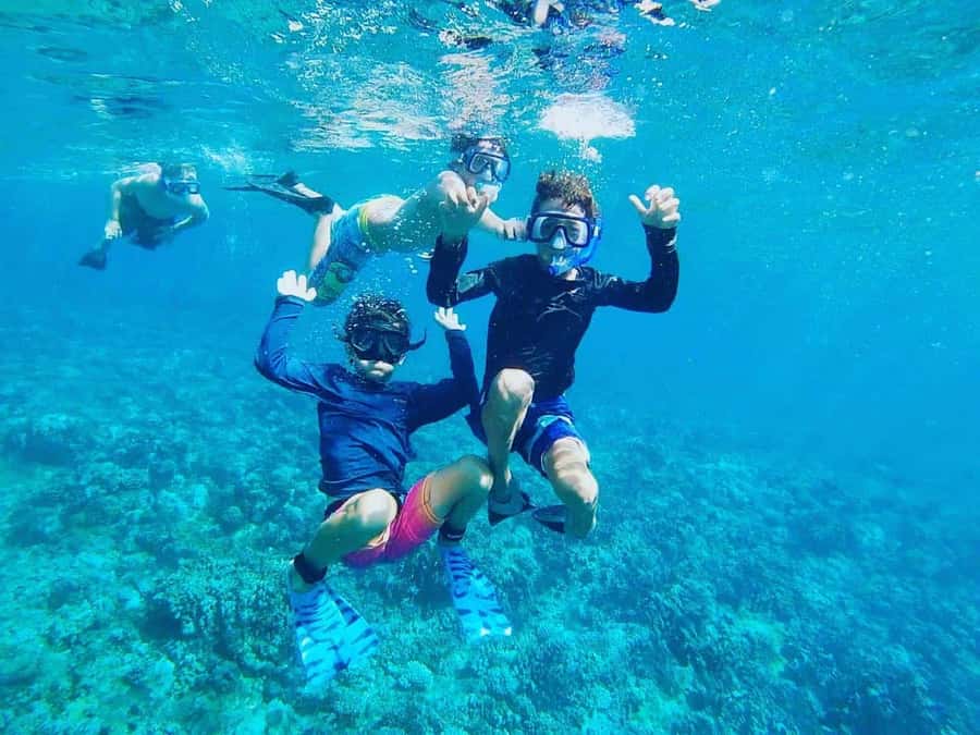 Nha Trang: Snorkeling Tour with BBQ Lunch at Coral Reef - The mid-morning snack break: coffee, tea, fruit, and rice cake in the sun