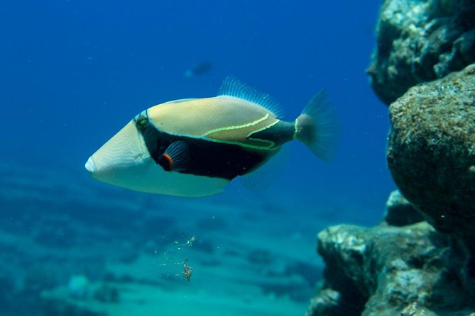Ni'ihau and Na Pali Coast Snorkel Boat Tour - Stop 1: Na Pali Coast State Wilderness Park from a front-row seat