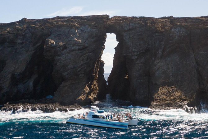 Ni'ihau and Na Pali Coast Snorkel Boat Tour - Stop 2: Lehua Crater and Ni’ihau snorkeling for real wildlife time