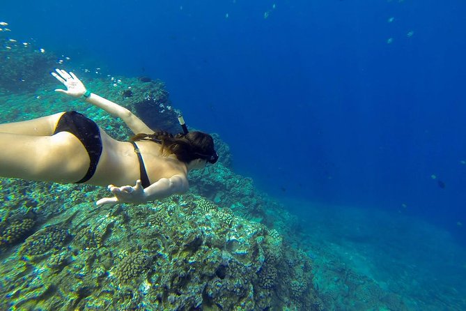 Ni'ihau and Na Pali Coast Snorkel Boat Tour - What to bring (so you’re not stuck asking for help)