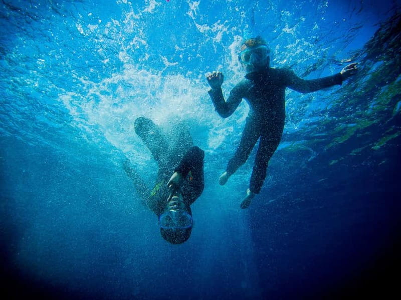 Nice: Snorkeling Speedboat Tour in Villefranche Bay - Key highlights worth your attention