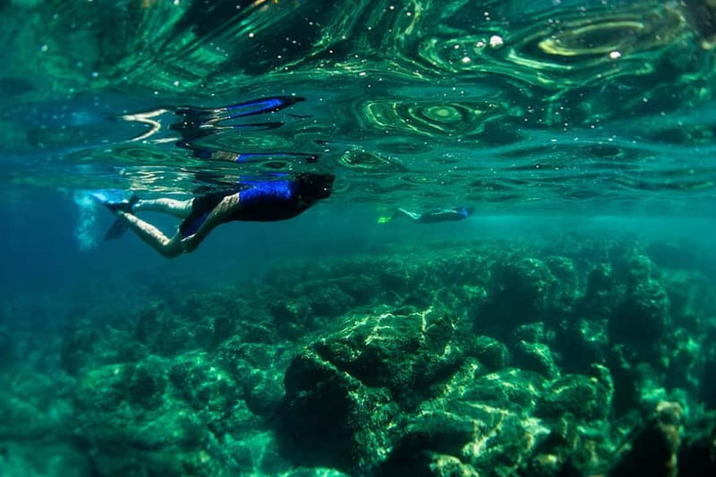 Nice: Snorkeling Speedboat Tour in Villefranche Bay - First stop: the Chango center at Nice’s docks