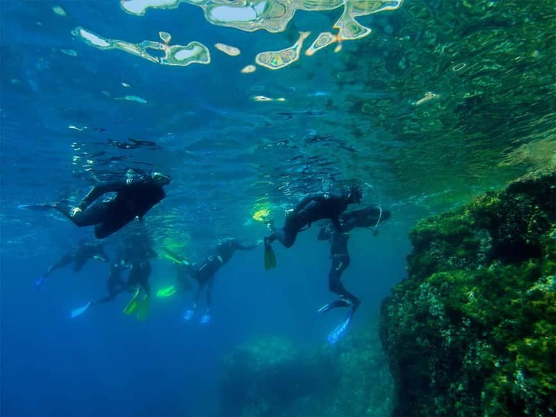 Nice: Snorkeling Speedboat Tour in Villefranche Bay - The speedboat cruise: Riviera scenery in 15 minutes at a time