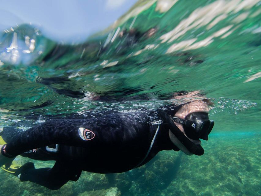 Nice: Snorkeling Speedboat Tour in Villefranche Bay - Arriving in Villefranche Bay: how the snorkeling site gets chosen