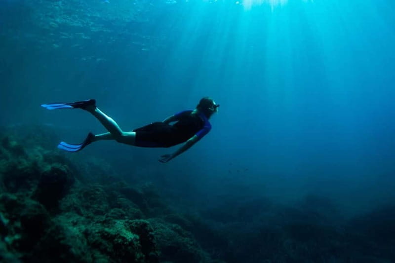 Nice: Snorkeling Speedboat Tour in Villefranche Bay - Your hour in the water: what you’ll actually be looking for