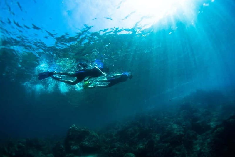 Nice: Snorkeling Speedboat Tour in Villefranche Bay - Guide style: friendly, funny, and safety-focused