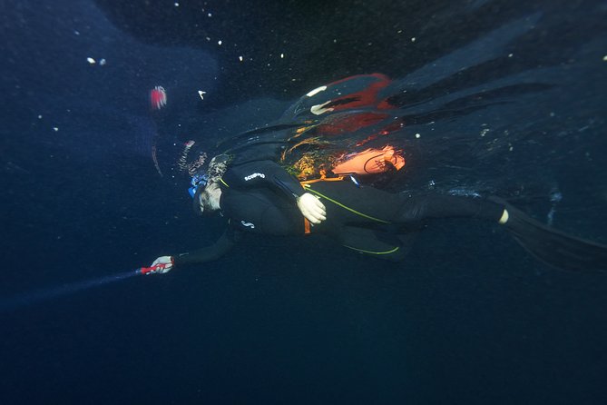 Night Snorkeling - Weather and Meeting Point Changes: The One Planning Headache