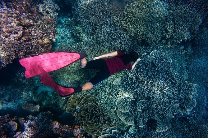 Night-Time Snorkel at TurtleTown with Stars, Lights, and Photos - Who This Tour Suits Best on Maui