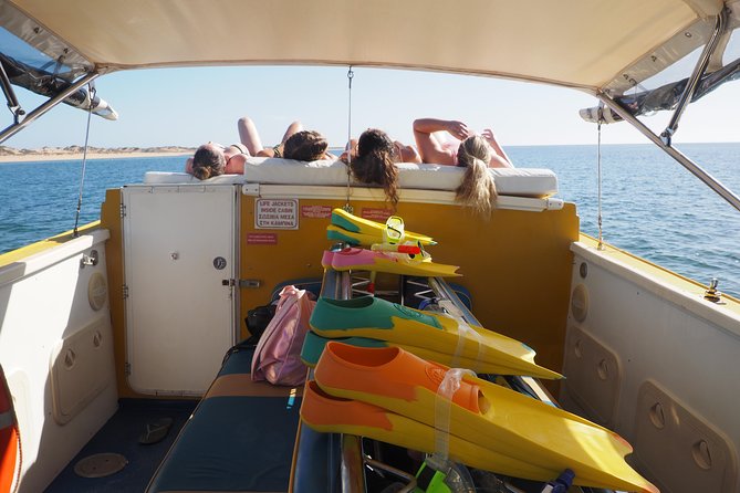 Ningaloo Reef Snorkel and Wildlife Adventure - Wildlife highlights around Ningaloo (what you can hope to see)