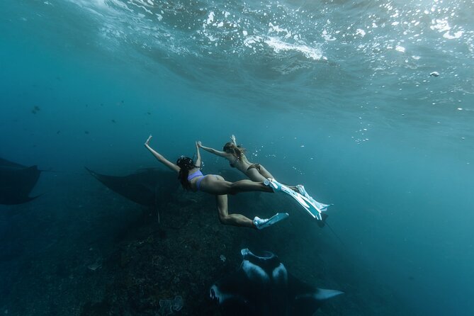 ️Nusa Penida by Private Boat - Snorkeling 4 spots, Swim with Mantas + Land Tour - Quick hits: what makes this day trip work