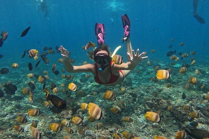 ️Nusa Penida by Private Boat - Snorkeling 4 spots, Swim with Mantas + Land Tour - The boat ride: fast, fun, and sometimes bouncy
