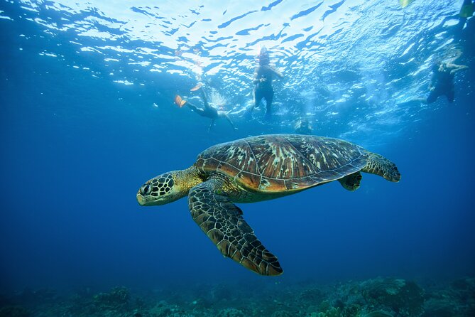 Nusa Penida day trip: boat, 4 snorkeling, Manta rays & Land tour - Kelingking Beach by Private Car: Iconic Cliff Views, Managed Time