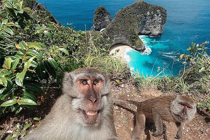 Nusa Penida day trip: boat, 4 snorkeling, Manta rays & Land tour - Wall Bay Point: Third Reef Stop for Corals and Fish