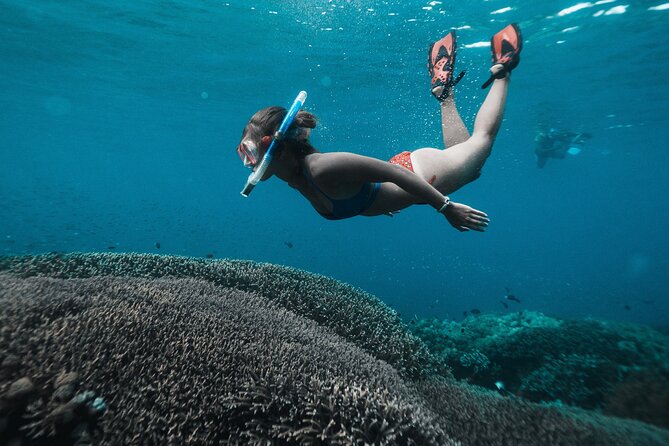 Nusa Penida day trip: boat, 4 snorkeling, Manta rays & Land tour - Sanur Start: Meeting Spot, Early Exit, and How to Prepare