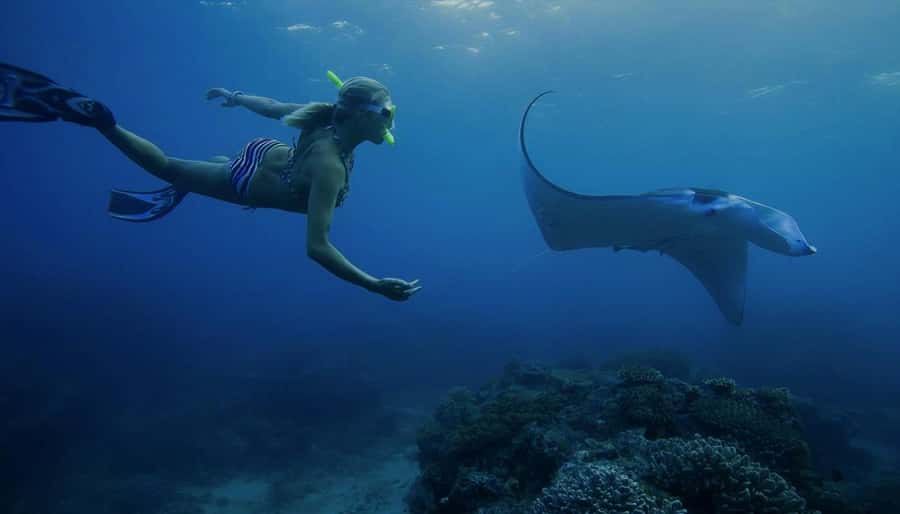 Nusa Penida: Full Day Private Snorkeling With Manta Ray - Quick Hits: Why This Private Nusa Penida Snorkel Tour Works