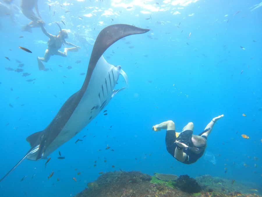 Nusa Penida: Full Day Private Snorkeling With Manta Ray - Price and What You’re Really Paying For ($64 for 3–4 Hours)