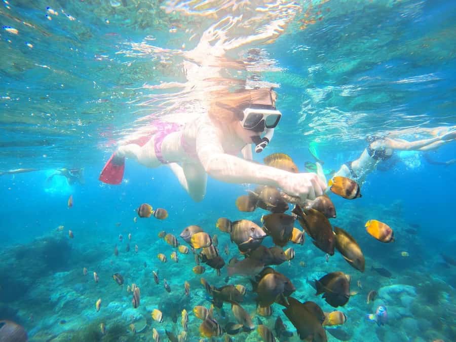 Nusa Penida: Full Day Private Snorkeling With Manta Ray - First Stop: Manta Bay and the 30% Manta Reality
