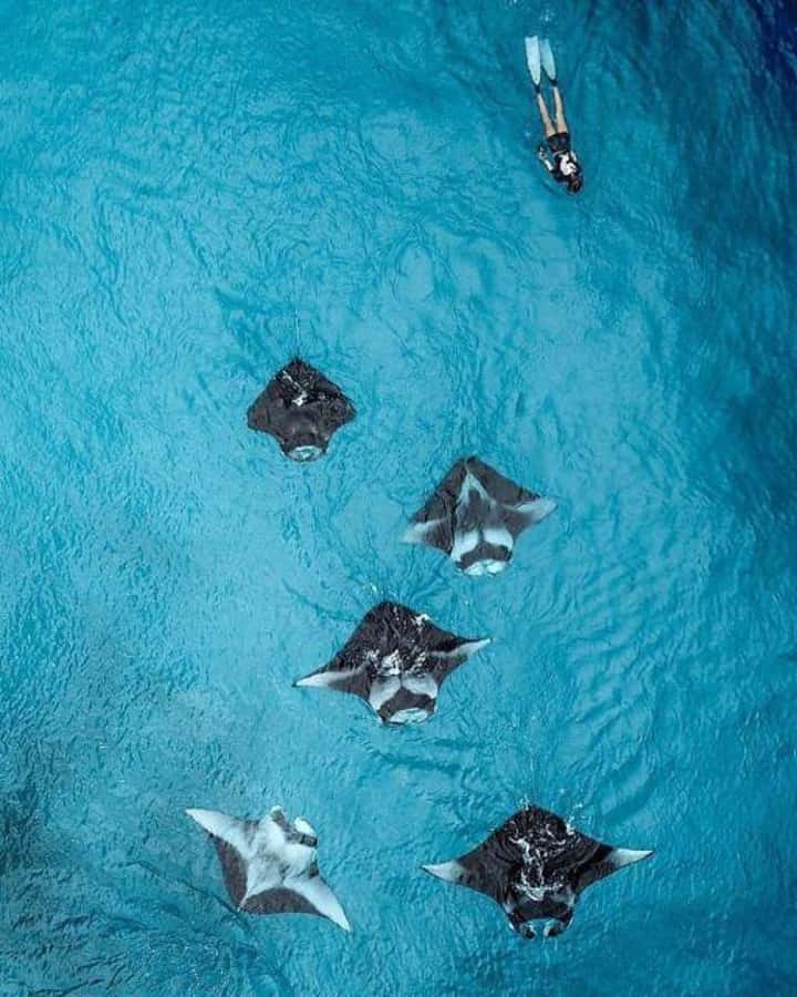 Nusa Penida: Full Day Private Snorkeling With Manta Ray - Meeting Point: Maruti Beach Club Timing That Matters