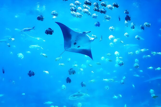 Nusa Penida Island Beach Tour With Snorkeling - Departure From Bali Island - Where This Nusa Penida Day Trip Fits on Your Bali Plan