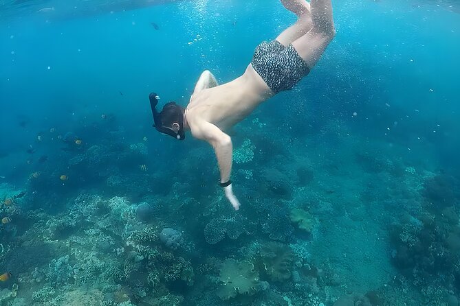 Nusa Penida Island Beach Tour With Snorkeling - Departure From Bali Island - Crowd and Comfort Reality Check (The Part You Should Not Ignore)