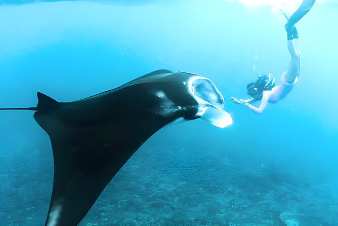 Nusa Penida Island Beach Tours with Snorkeling From Bali - Why a driver matters on Nusa Penida’s west coast