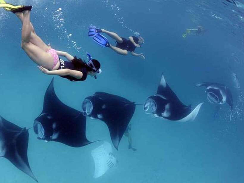 Nusa Penida: Snorkeling 3-4 spots and island tour with guide - Crystal Bay and Gamat Bay: two more chances for coral and fish