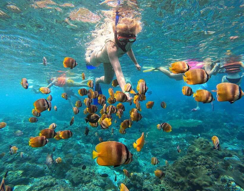 Nusa Penida: Snorkeling 3-4 spots and island tour with guide - West Nusa Penida cliffs: Kelingking, Broken Beach, and Angel’s Billabong