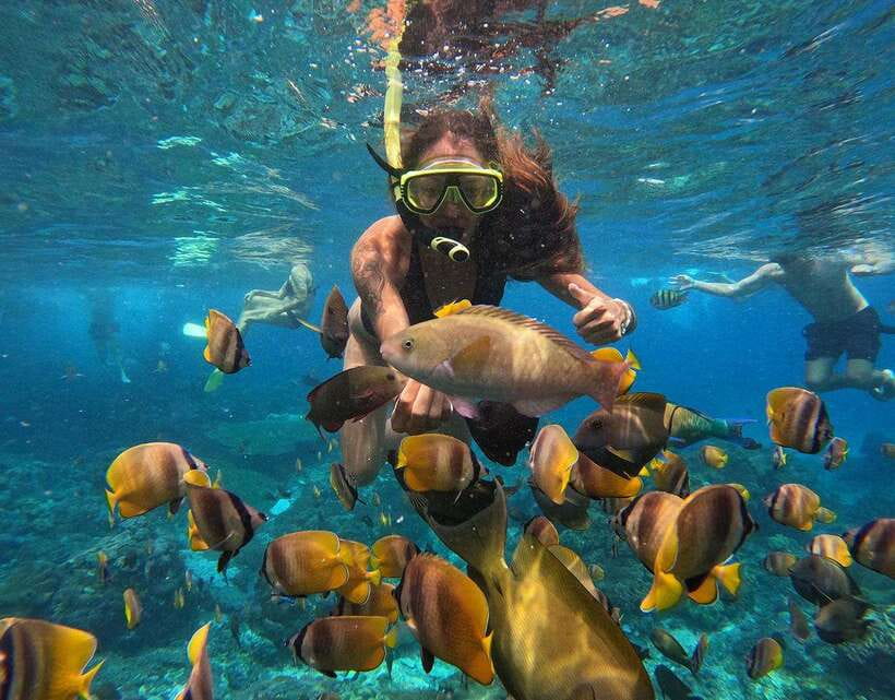 Nusa Penida: Snorkeling 3-4 spots and island tour with guide - Price and value: why this can be a bargain, and when it might not
