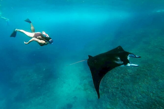 Nusa Penida Snorkeling 3 Point with Manta Bay & Land Tour - From Ubud to Sanur: the early start that drives the whole day