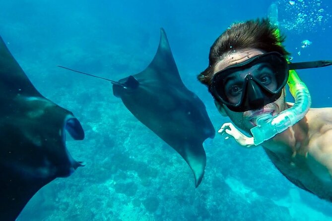 Nusa Penida Snorkeling 3 Point with Manta Bay & Land Tour - Snorkeling at Manta Bay, Gamat Bay, and Crystal Bay: the real odds
