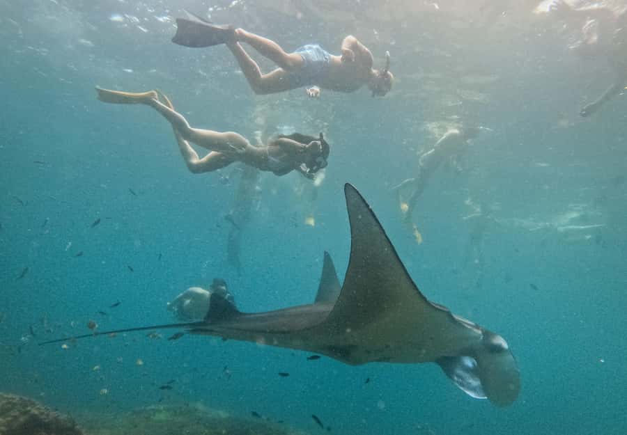 Nusa Penida: Snorkeling 3 Spots with GoPro & West Land Tour - Snorkeling on Penida’s schedule: Manta Bay first, but plan for Plan B