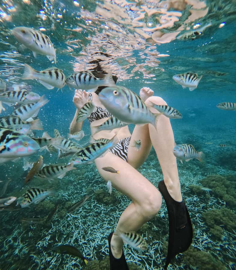 Nusa Penida: Snorkeling 3 Spots with GoPro & West Land Tour - Crystal Bay: calm-water snorkeling with a better chance at turtles