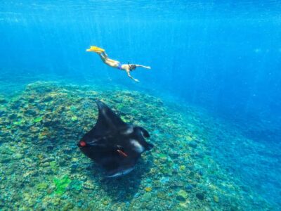 Nusa Penida: Snorkeling 3 Spots with GoPro & West Land Tour - Gamat Bay plus the extra snorkeling stops that can change with conditions