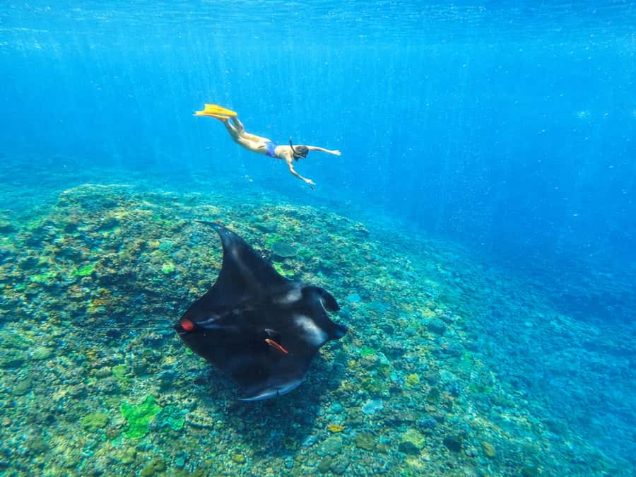 Nusa Penida: Snorkeling 3 Spots with GoPro & West Land Tour - Gamat Bay plus the extra snorkeling stops that can change with conditions
