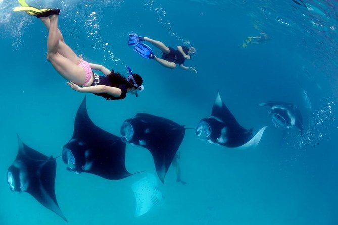 Nusa Penida Snorkeling Adventure (Private & All-Inclusive) - Timing It Right: the 6:00am start and what “8–12 hours” really feels like