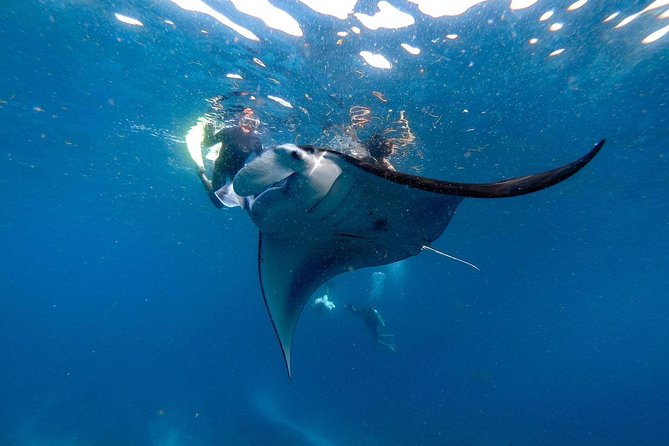 Nusa Penida Snorkeling Adventure (Private & All-Inclusive) - Lunch on Penida: local meal included, but plan for the setting