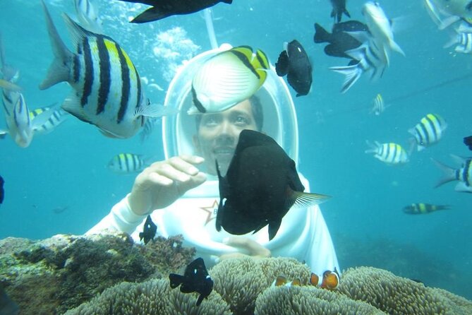 Nusa Penida Trip with Snorkeling all-Inclusive - Why this Penida day trip feels less stressful than DIY