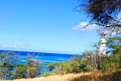 Oahu: All Day Circle Island Tour with Snorkeling - Pickup timing and how the day moves