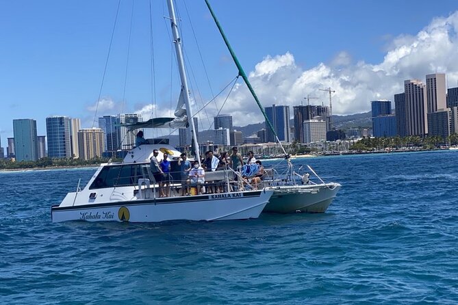 Oahu Catamaran Snorkel Tour: See Turtles 100% Guaranteed - Turtle Canyon Reef: what the snorkel portion feels like