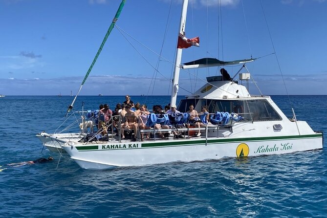 Oahu Catamaran Snorkel Tour: See Turtles 100% Guaranteed - Snacks, drinks, and the ride back: a small comfort that adds up