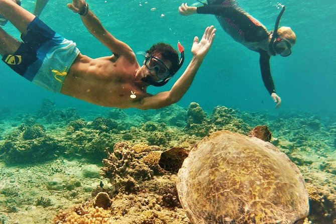 Oahu Circle Island Tour with Turtle Snorkeling— Small-Groups - Small group minibus: what max 28 really changes