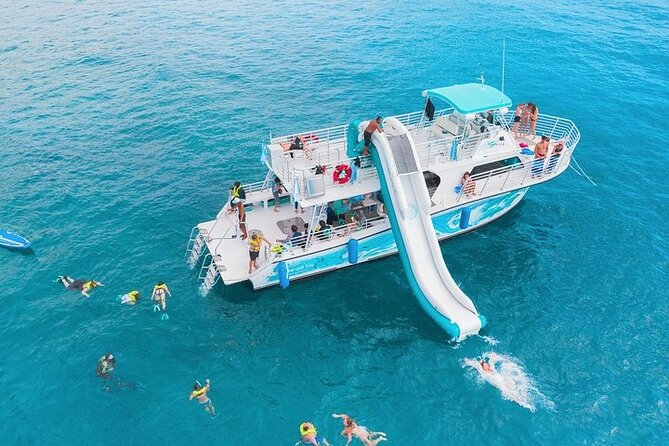 Oahu Dolphin and Snorkel Tour with Waikiki Pickup & Lunch - Key things that make this tour click