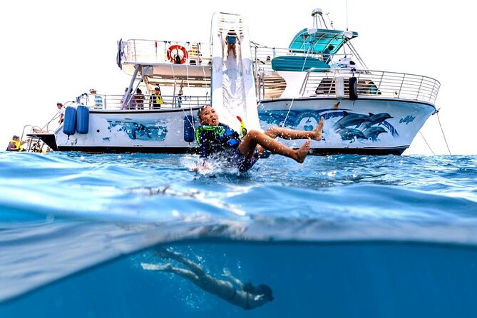 Oahu Dolphin and Snorkel Tour with Waikiki Pickup & Lunch - Snorkeling with green sea turtles: what the second act is really about