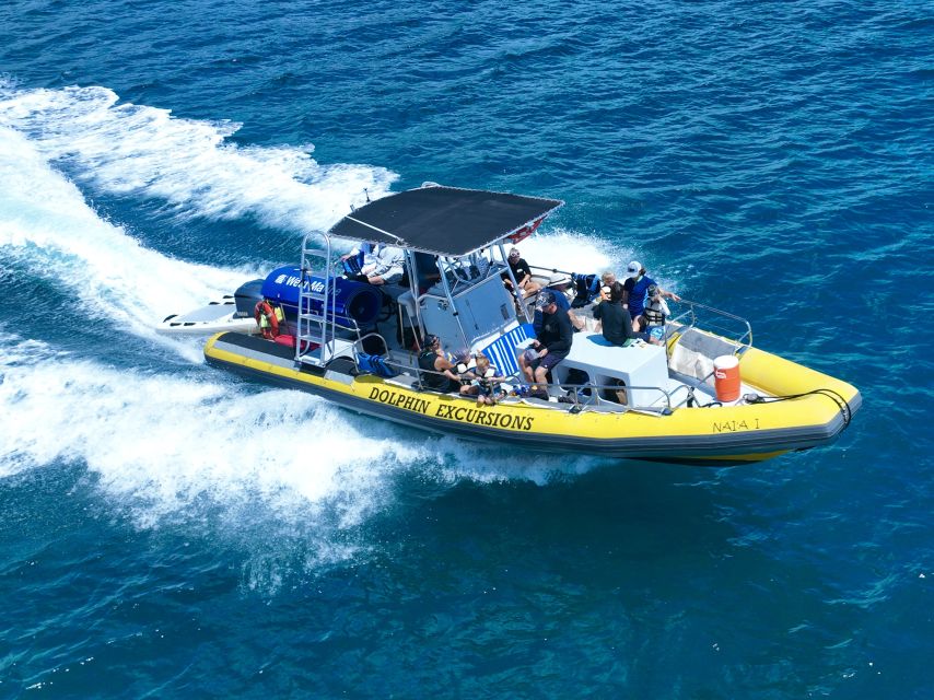 Oahu: Dolphin Swim and Turtle Snorkel Excursion in Waianae - What to bring for Waianae dolphin and turtle snorkeling