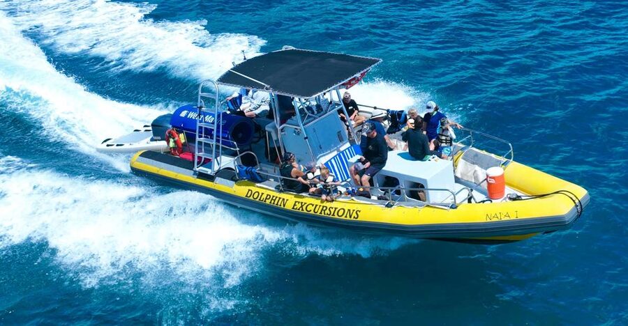 Oahu: Dolphin Swim and Turtle Snorkel Excursion in Waianae - From Waikiki to Waianae: getting on the water without the headache