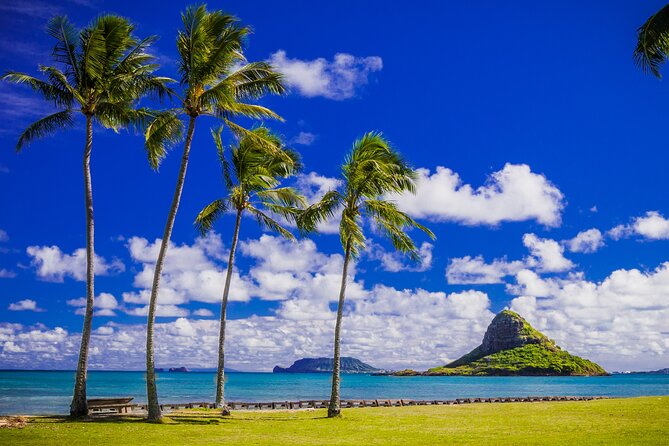 Oahu: Grand Tour Around Island 16 Locations plus Snorkeling - North Shore Snorkeling: When Conditions Decide Your Day