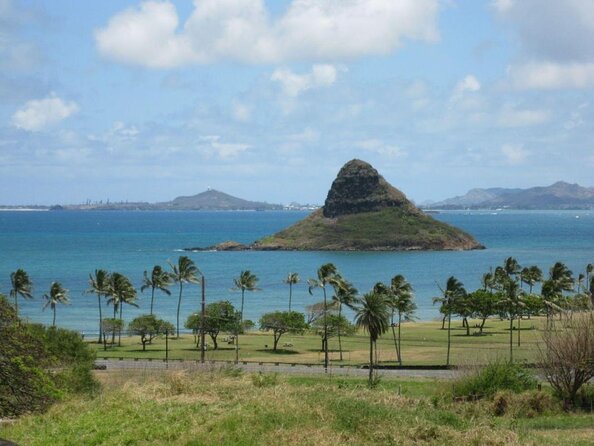 Oahu Guided Circle Island Tour, Swim w/ Turtles, Dole, Blowhole - Key highlights before you go