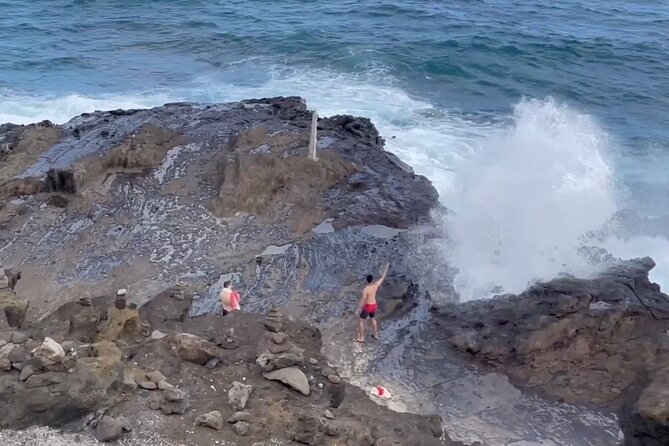 Oahu Guided Circle Island Tour, Swim w/ Turtles, Dole, Blowhole - Price and Comfort: What $118.79 Buys You