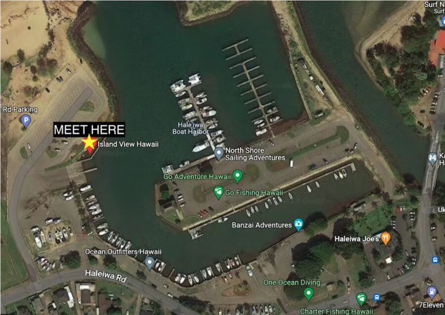 Oahu: North Shore Cageless Shark Snorkeling Tour - FAQ