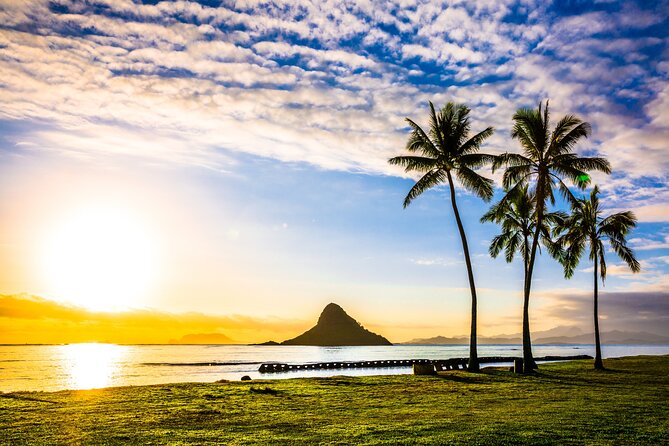 Oahu's Ultimate Grand Circle Island Tour with Snorkeling and More - Kahuku Farms to Turtle Beach Ideas: North Shore Flavor and Stops That Add Up